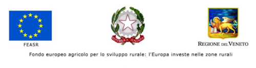 fondo europeo fondo europeo