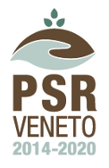 psr2020